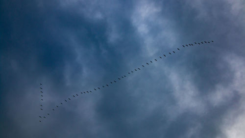 A flock of birds in v formation flying across a cloudy sky