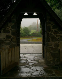 Tunnel with trees in background