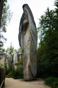 Low angle view of a statue