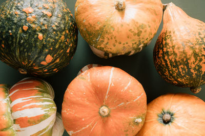 Pumpkins pattern background. minimal seasonal food concept for thanksgiving
