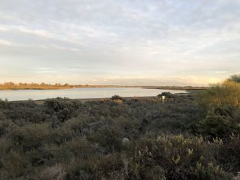 Scenic view of land against sky during sunset