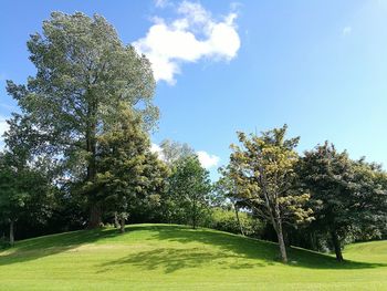 Trees growing on golf course against sky