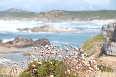 Scenic view of sea against cloudy sky