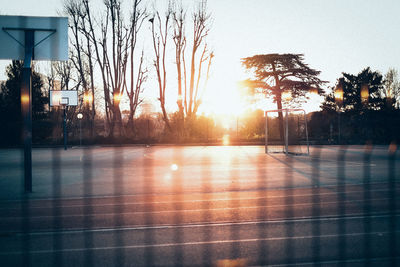 Bare trees and buildings against sky during sunset