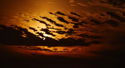 Silhouette bird flying against orange sky