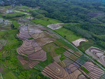 Aerial view beautiful morning view from indonesia about mountain and forest