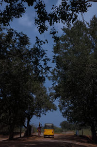 Cars on road by trees against sky