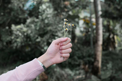 Cropped hand of woman holding flowers against plants