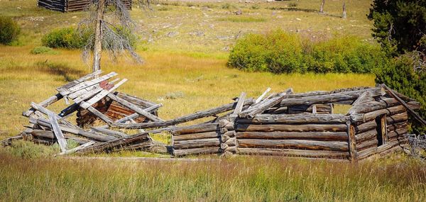 Stack of logs on field