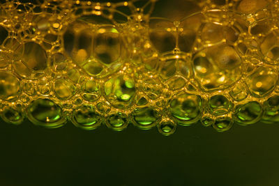 Close-up of bubbles in water