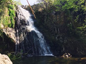 Scenic view of waterfall in forest