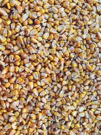 Full frame close up of corn kernels