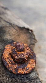 Close-up of rusty metal on rock