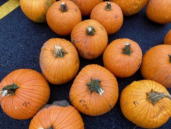 High angle view of pumpkins