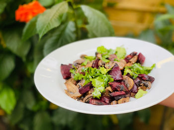 Close-up of meal served in plate