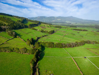 High angle view of agricultural field