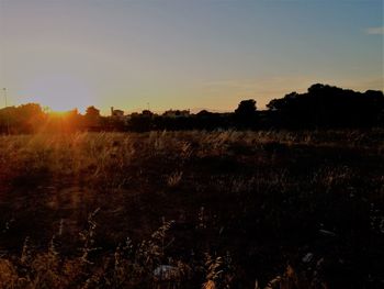 Scenic view of field against sky during sunset