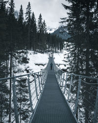 Rear view of man walking on footbridge amidst snow covered land and trees in forest