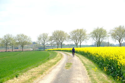 Man cycling on road amidst field against sky