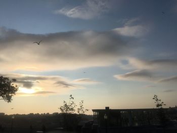 Low angle view of silhouette birds flying against sky