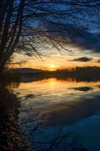 Reflection of trees in water at sunset