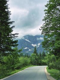 Road amidst trees against sky