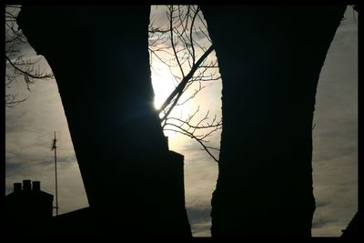 Low angle view of silhouette bare trees against sky