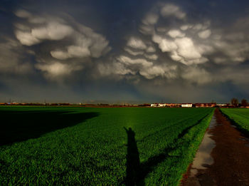 Scenic view of grassy field against cloudy sky