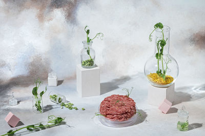 Plants growing in glass jar on table against wall