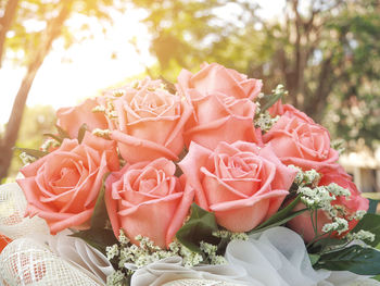 Close-up of rose bouquet