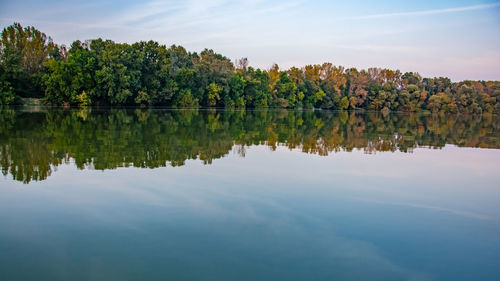 Reflection of trees in lake against sky