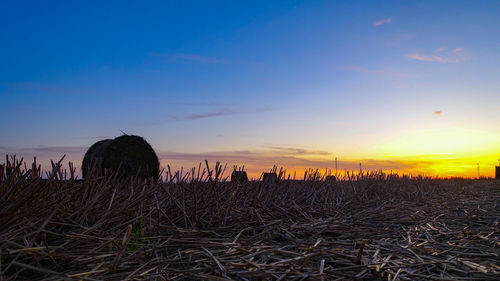 Scenic view of field against sky during sunset