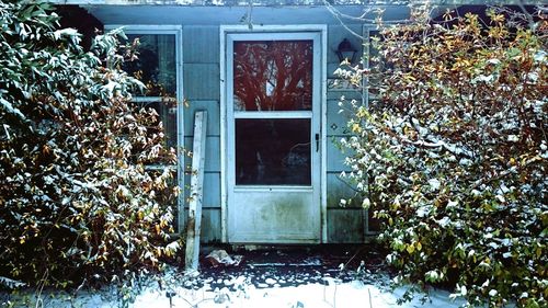 Close-up of window in winter