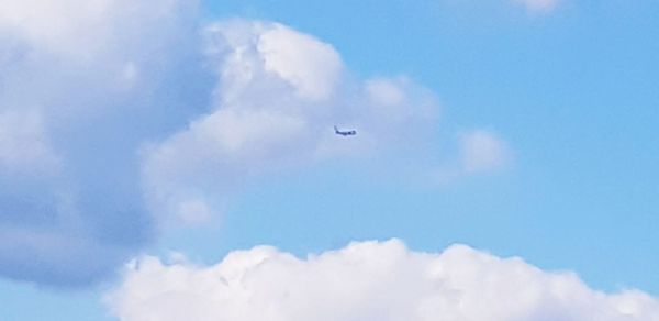 Low angle view of airplane flying in sky