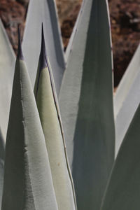 Close-up of clothes hanging on wall