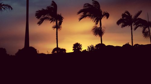 Low angle view of silhouette trees against sky at sunset