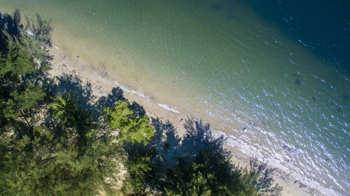 High angle view of trees by sea