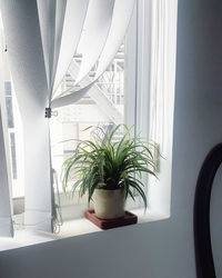 indoors