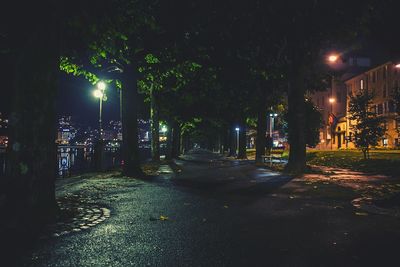 View of illuminated street lights at night