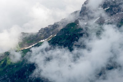 Another morning view