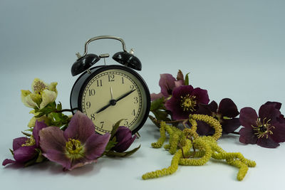 Close-up of pink flowers on table