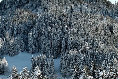 Full frame shot of frozen lake