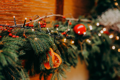 Close-up of christmas tree