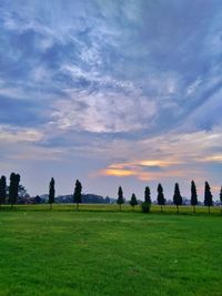 Scenic view of field against sky during sunset