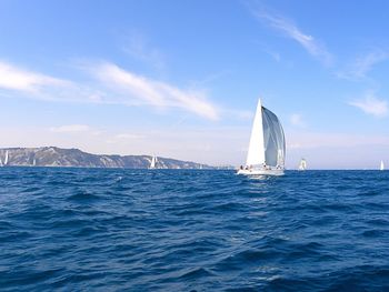 Sailboat sailing on sea