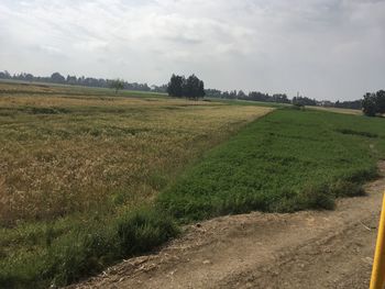 Scenic view of field against sky