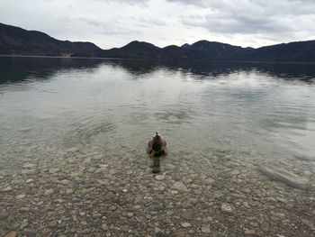 Person in lake against sky