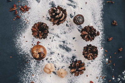 Directly above shot of pine cones on flour