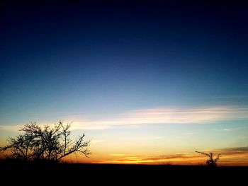 Silhouette tree against sky during sunset