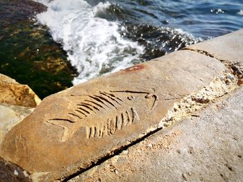 High angle view of rocks at sea shore